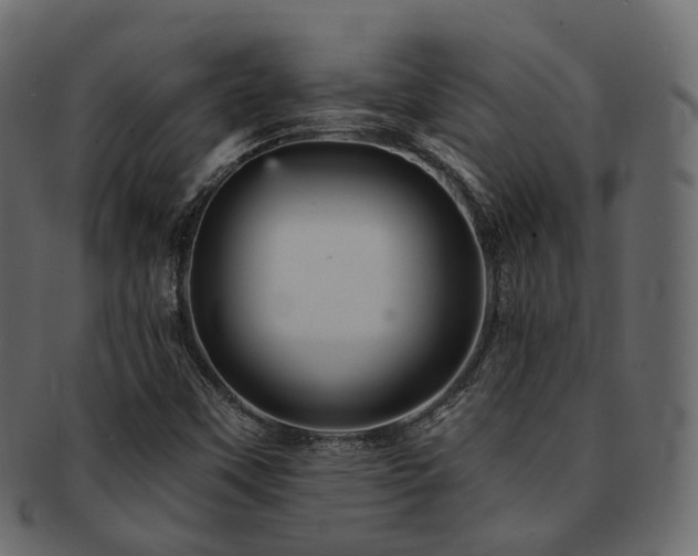 X0000093131451200709261338