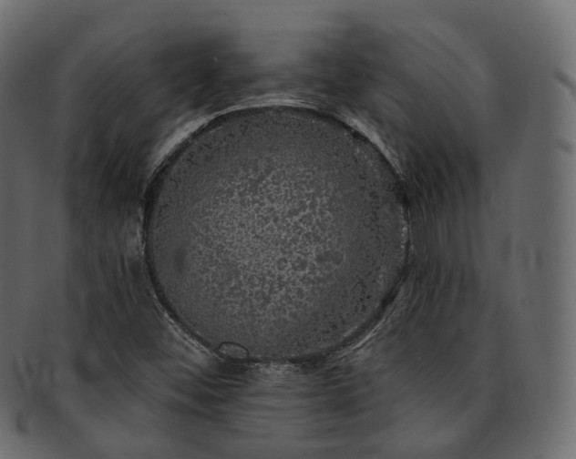 X0000093131452200709261338
