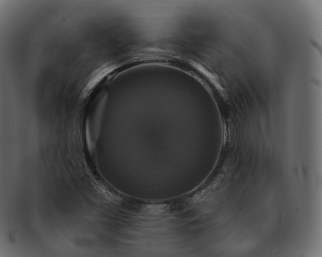 X0000093131453200709261338
