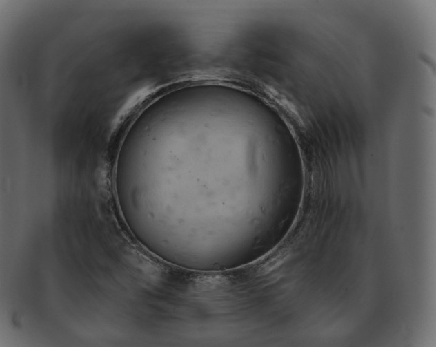X0000093131454200709261338
