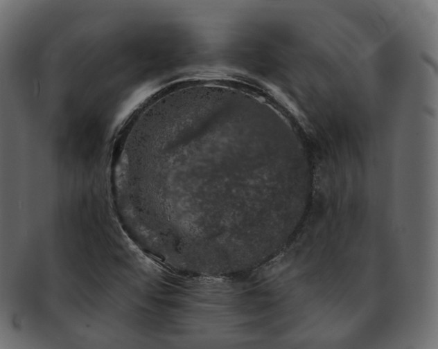 X0000093131456200709261338