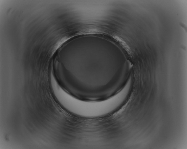 X0000093131457200709261338