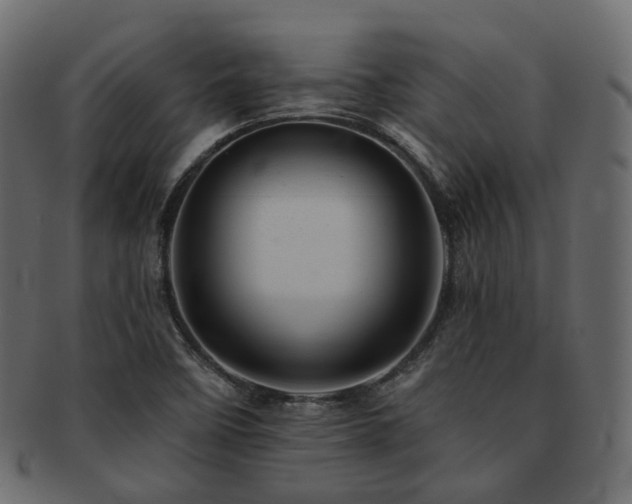 X0000093131458200709261338