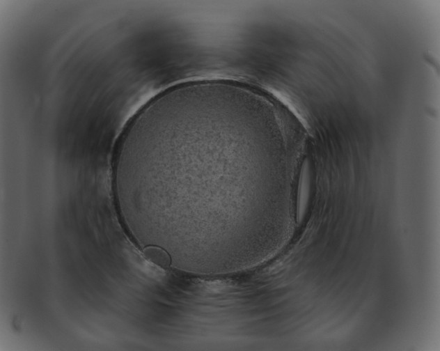 X0000093131460200709261338