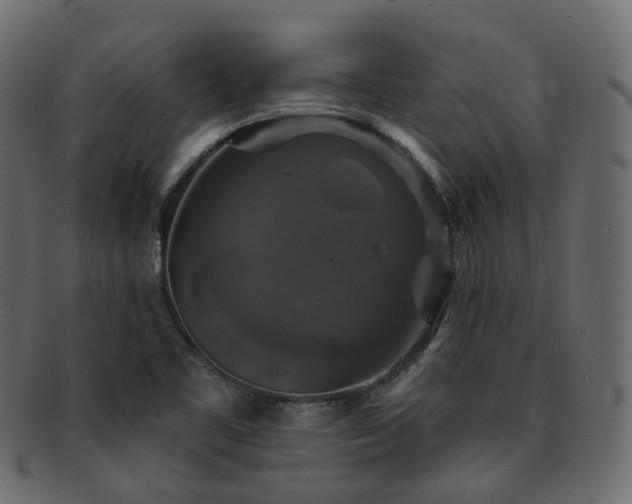 X0000093131461200709261338