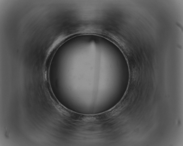 X0000093131462200709261338