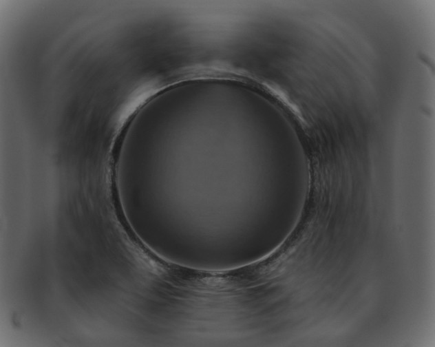 X0000093131463200709261338