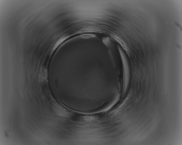 X0000093131465200709261338