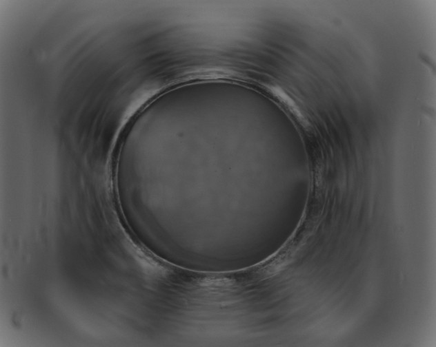 X0000093131466200709261338