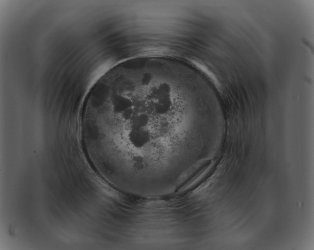 X0000093131467200709261338