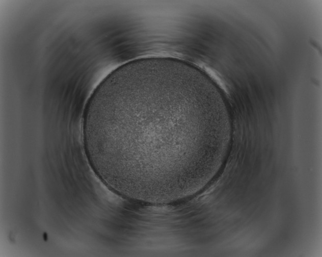 X0000093131468200709261338