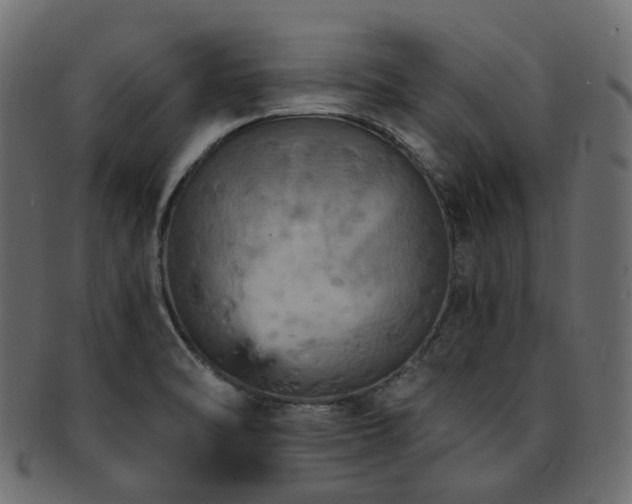 X0000093131470200709261338