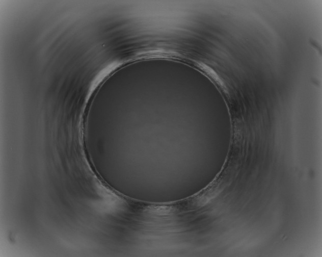 X0000093131474200709261337