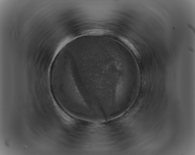 X0000093131475200709261337