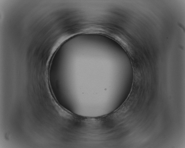 X0000093131478200709261337