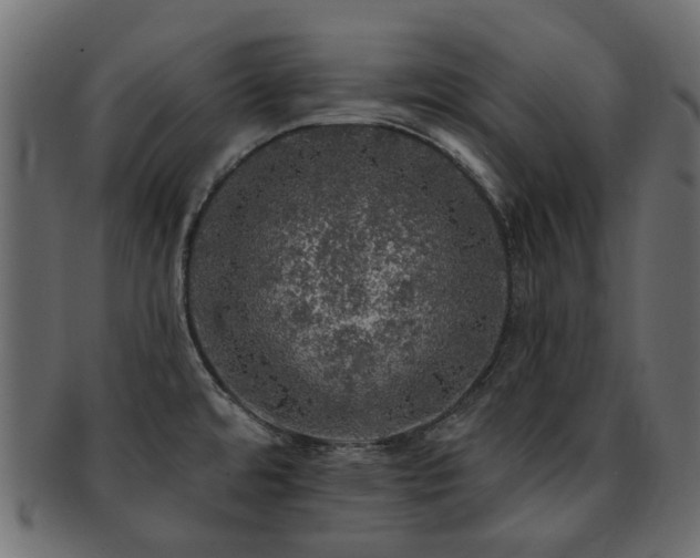 X0000093131480200709261337