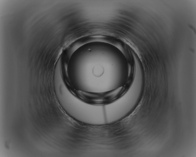 X0000093131481200709261337