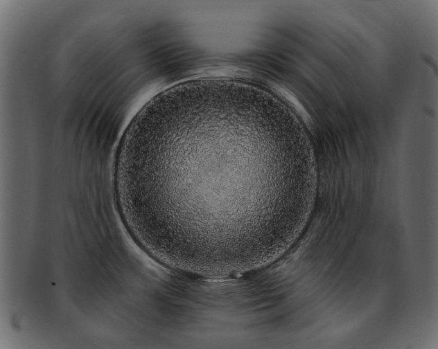 X0000093131483200709261337