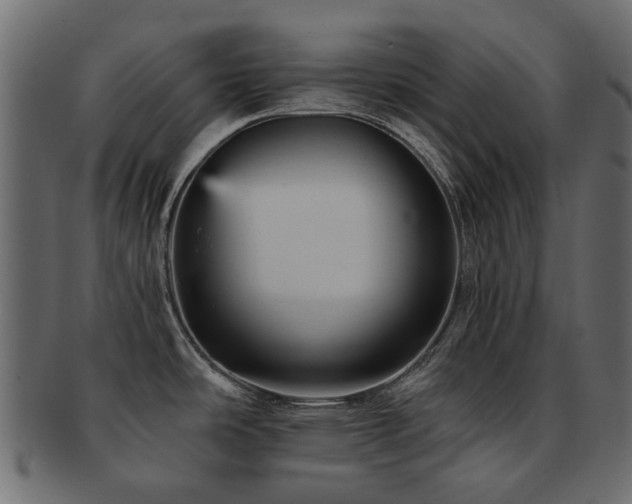 X0000093131486200709261337