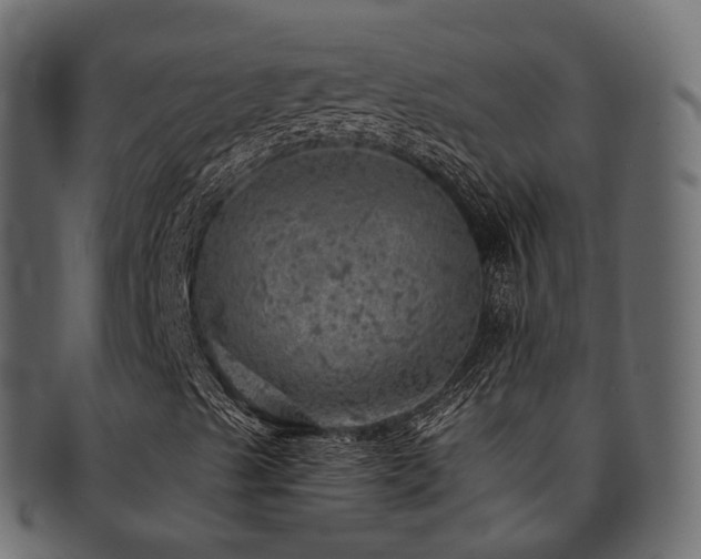 X0000093131489200709261337