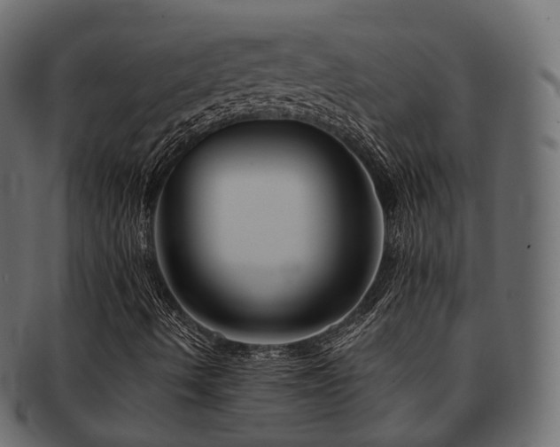 X0000093131490200709261337