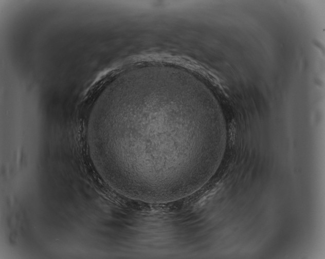 X0000093131494200709261337