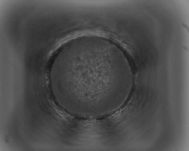 X0000093131496200709261337
