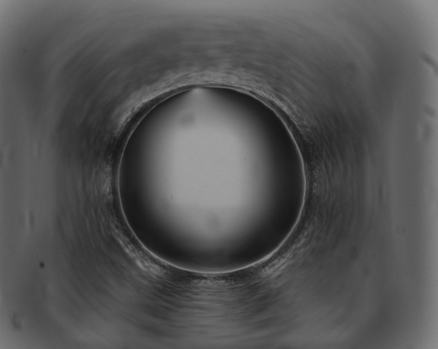 X0000093131499200709261337