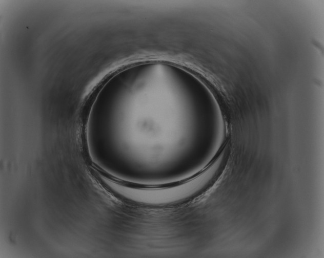 X0000093131502200709261337