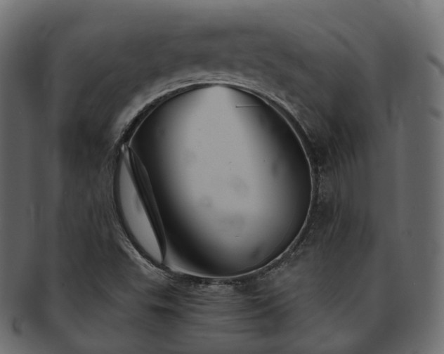 X0000093131503200709261337