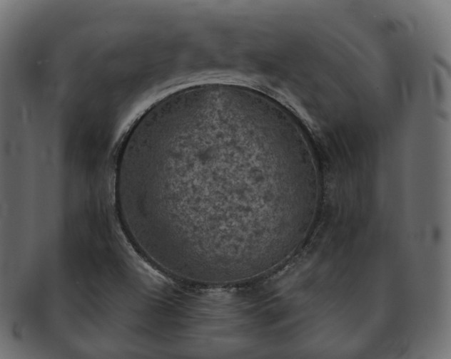 X0000093131504200709261337