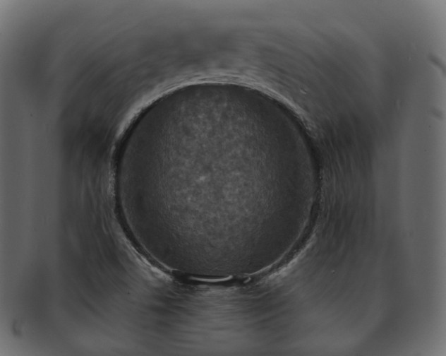X0000093131506200709261337