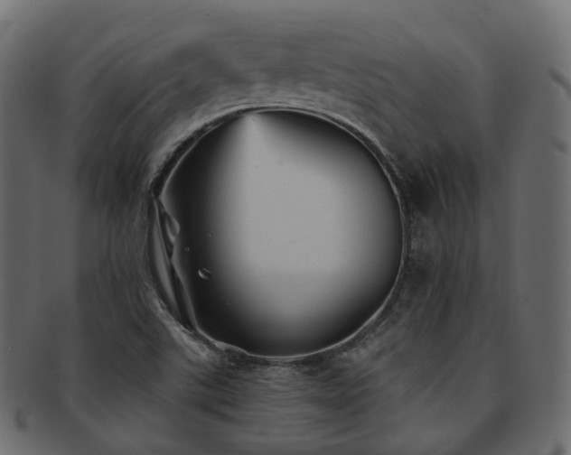 X0000093131507200709261337