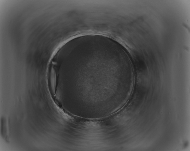 X0000093131508200709261337