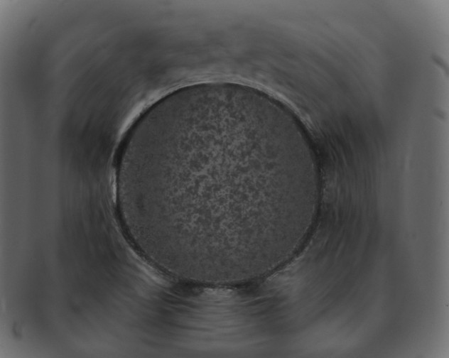 X0000093131509200709261337