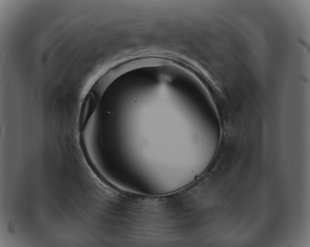 X0000093131512200709261337