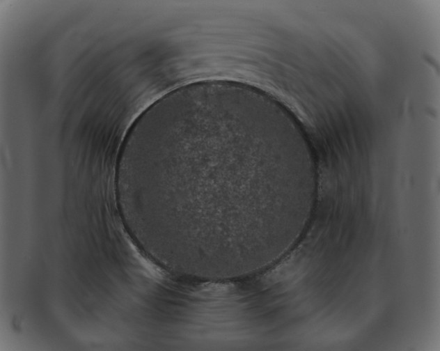 X0000093131513200709261337