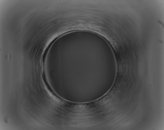 X0000093131515200709261337