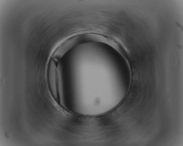 X0000093131516200709261337
