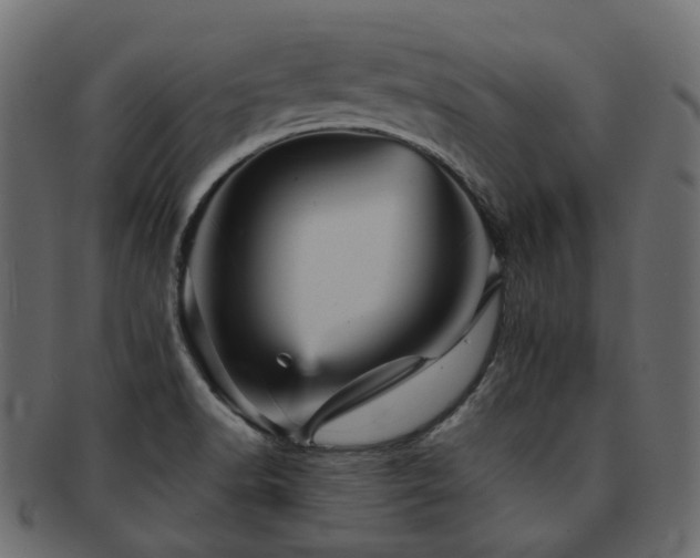 X0000093131518200709261337