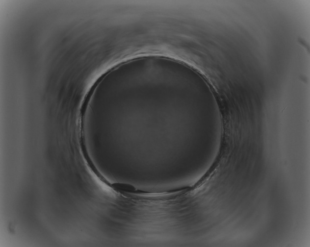X0000093131519200709261337