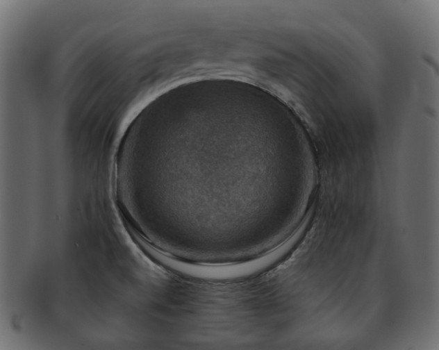 X0000093131520200709261337