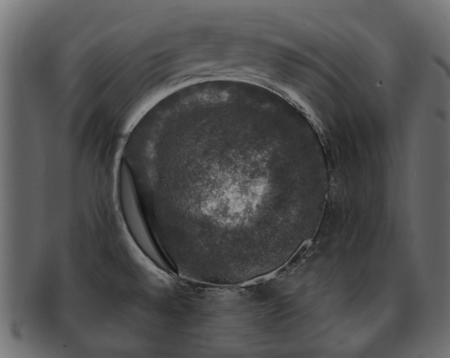 X0000093131528200709261337