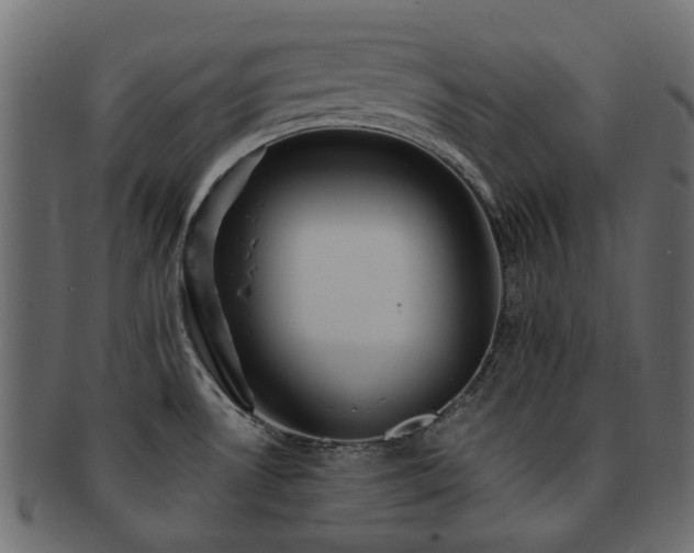 X0000093131530200709261337