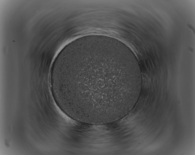 X0000093131531200709261337