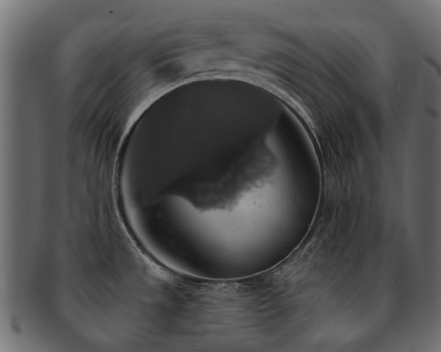 X0000093131533200709261337