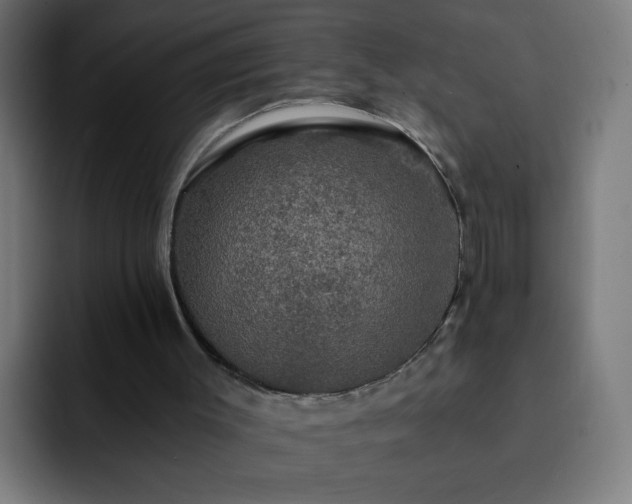 X0000093130003200710031400