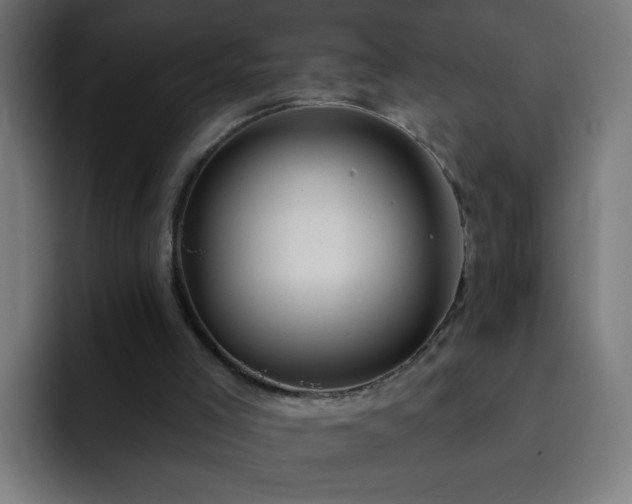 X0000093130005200710031400