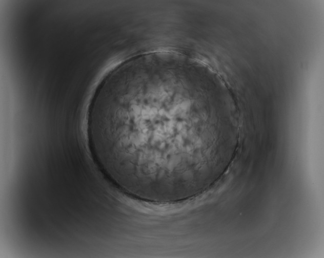 X0000093130006200710031400