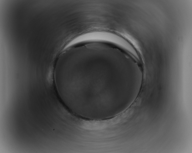 X0000093130009200710031400